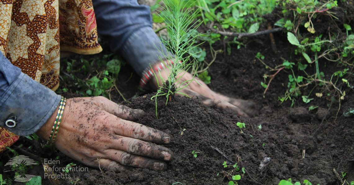 Woman planting a tree for Eden Reforestation Projects