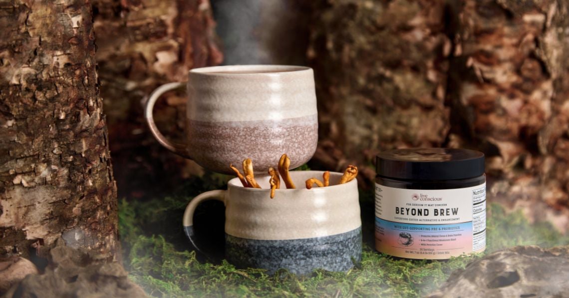 Live Conscious Beyond Brew in forest with mug of cordyceps mushrooms