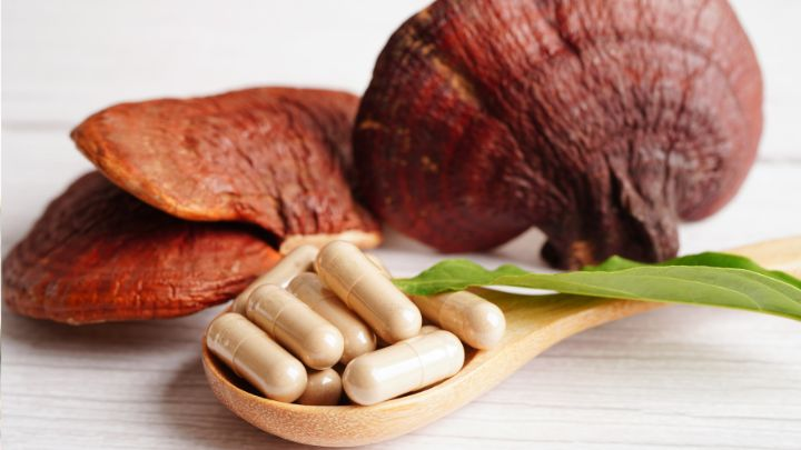 The many benefits of reishi mushrooms for your hair and more